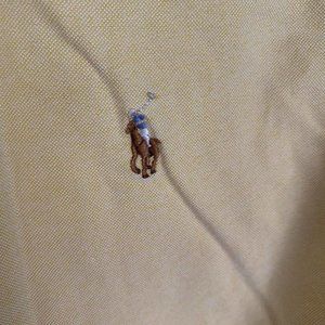 Ralph Lauren Yellow Button Down Shirt